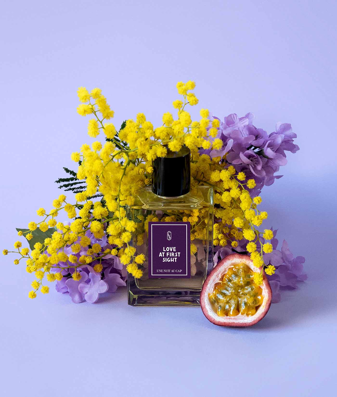 LOVE AT FIRST SIGHT - UNE NUIT NOMADE