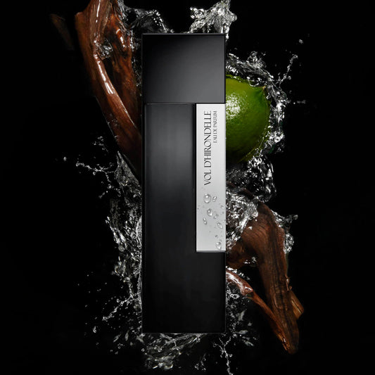 VUELO DE GOLONDRINA - LAURENT MAZZONE