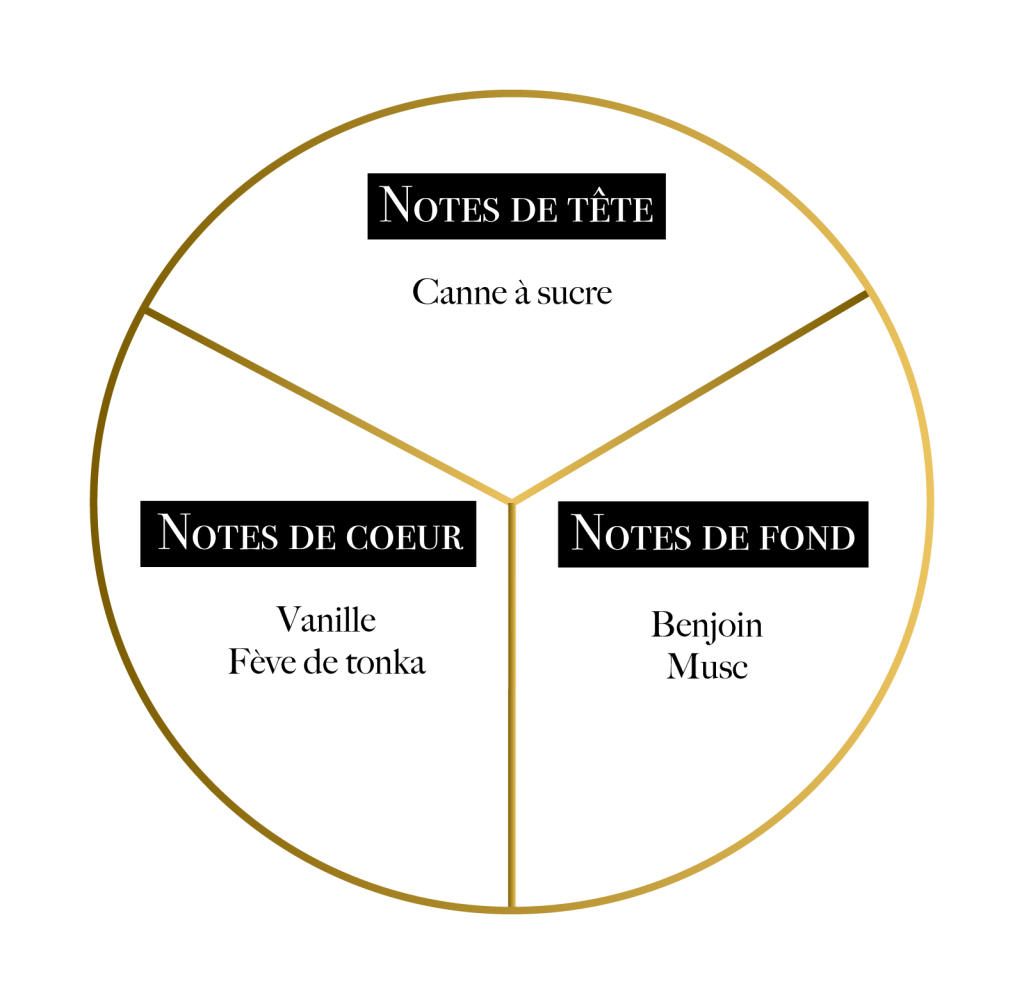 RÉVÉLATION - MARTIL