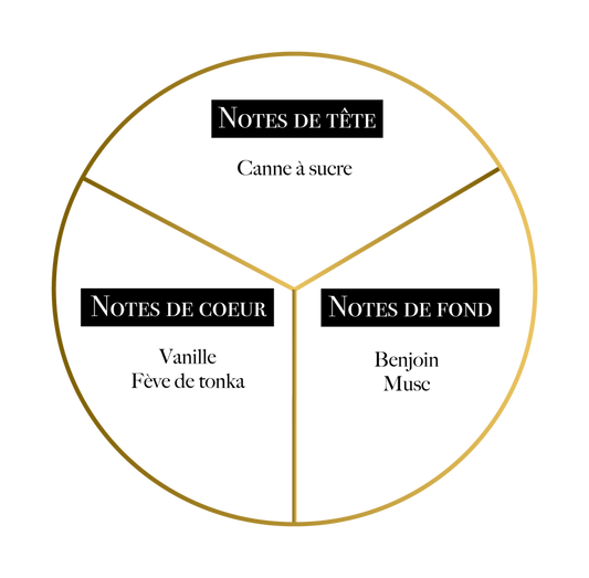 RÉVÉLATION - MARTIL