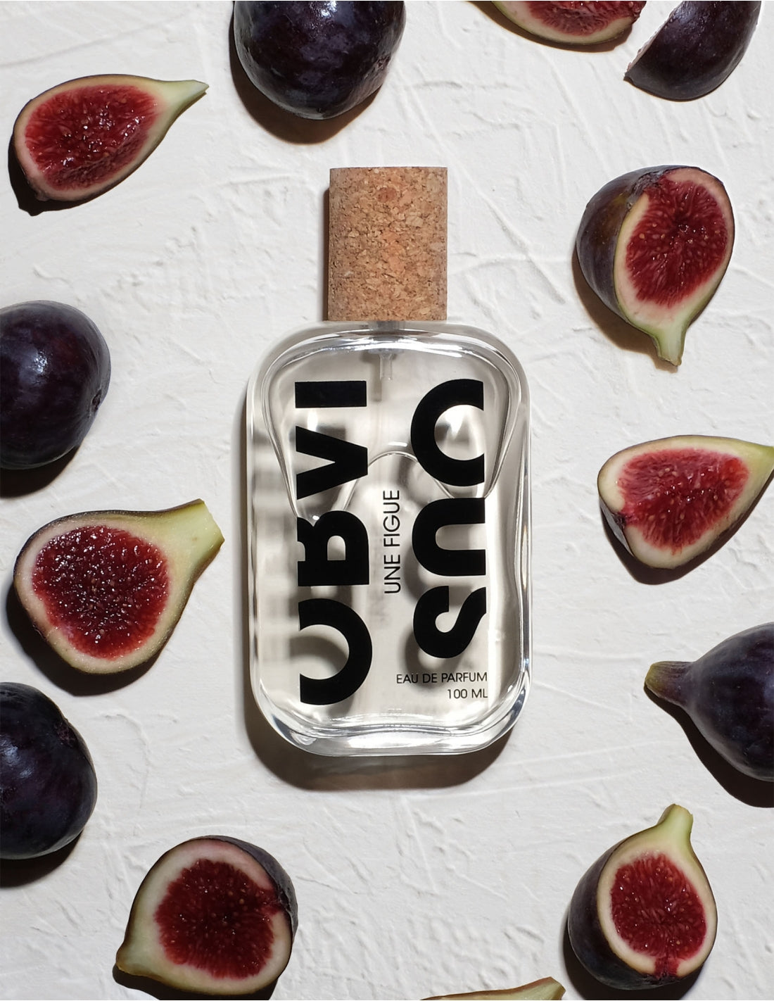 ONE FIG - OBVIOUS