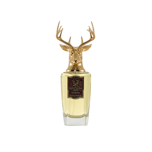 ORCHESTRA - PANADORA