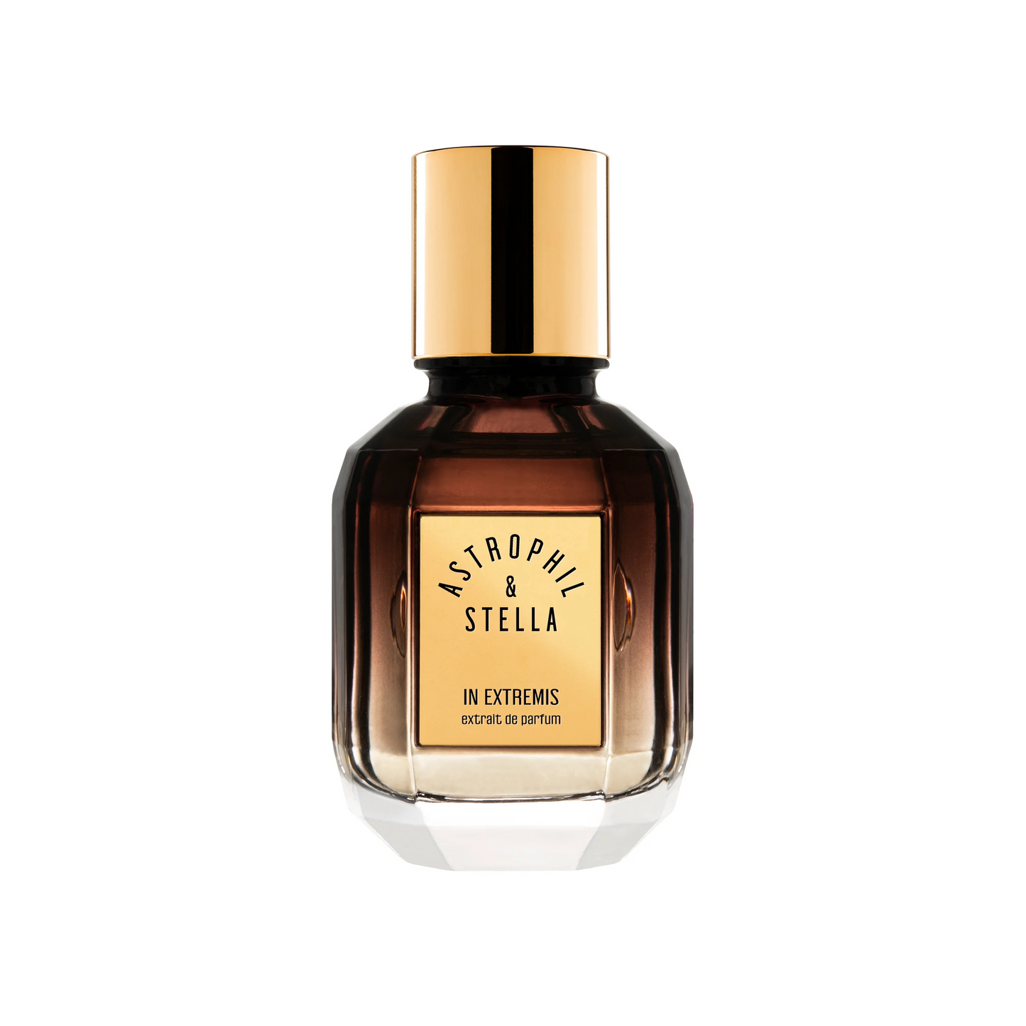IN EXTREMIS - ASTROPHIL & STELLA