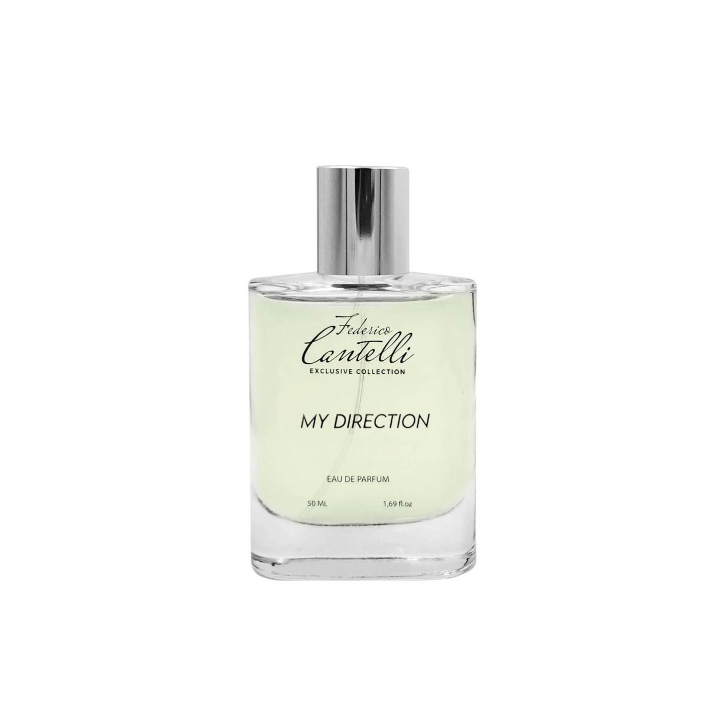 MEINE RICHTUNG - FEDERICO CANTELLI