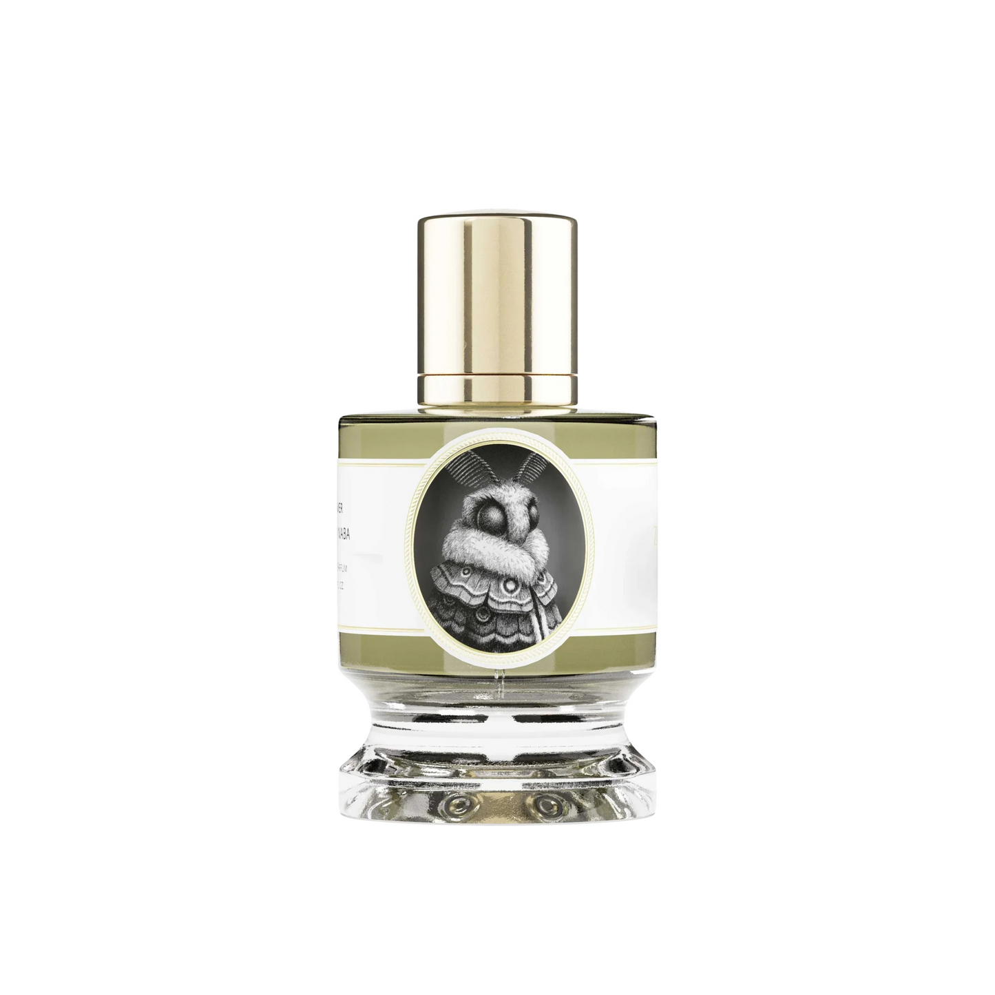 MOTH - ZOOLOGIST