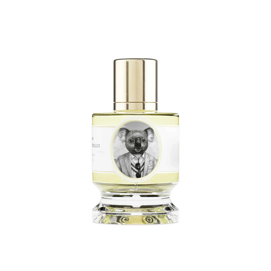KOALA - ZOOLOGIST