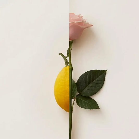 ROSA LIMONE - NEW NOTES