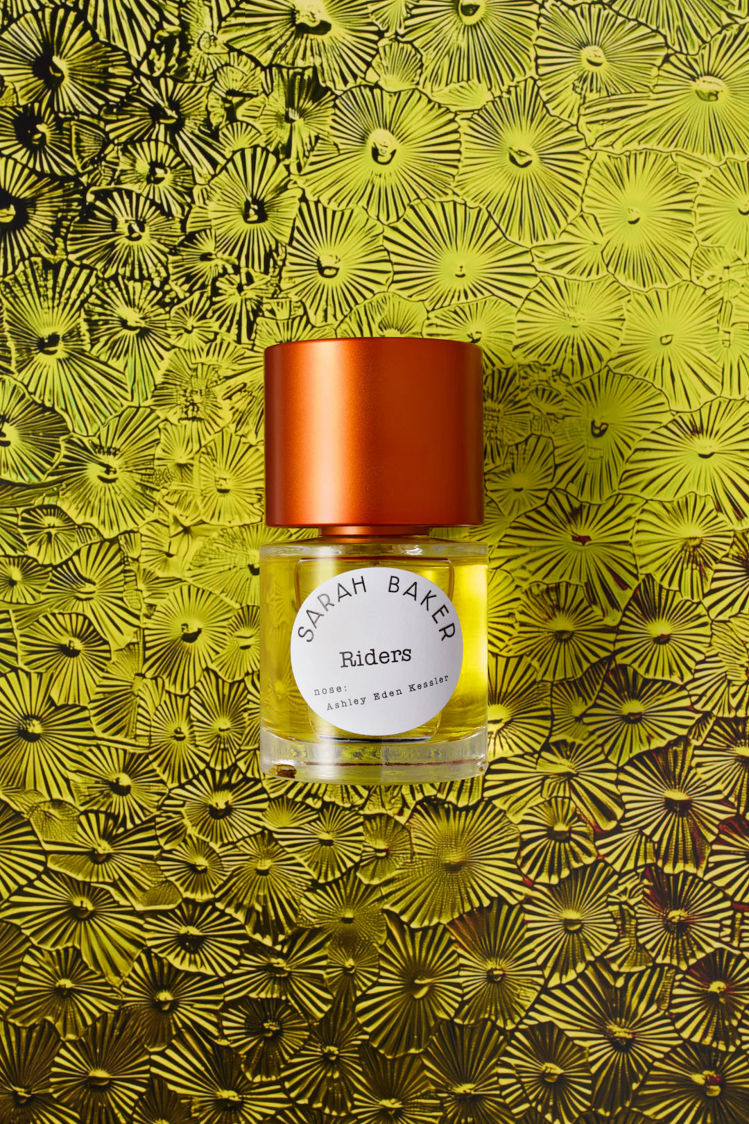 RIDERS - SARAH BAKER